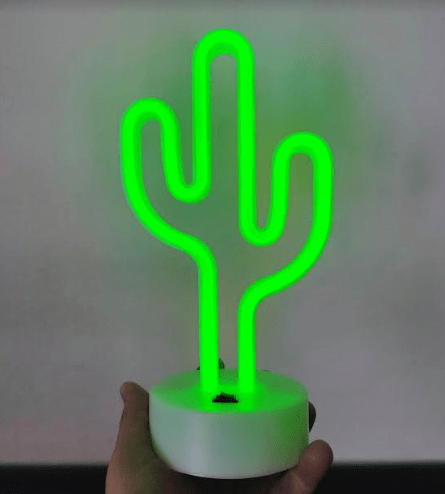 Cactus del successo